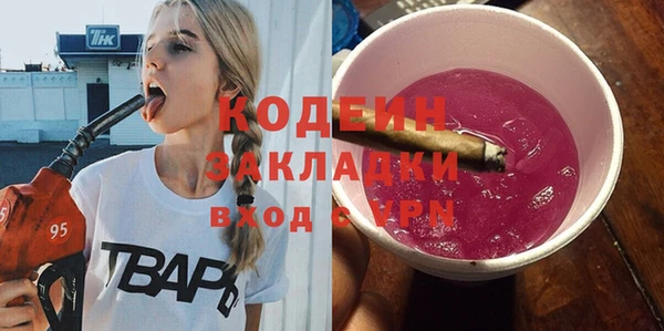 индика Александровское
