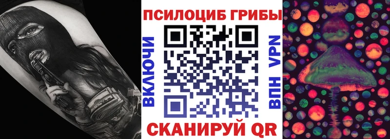 Псилоцибиновые грибы Psilocybine cubensis  Полтавская 